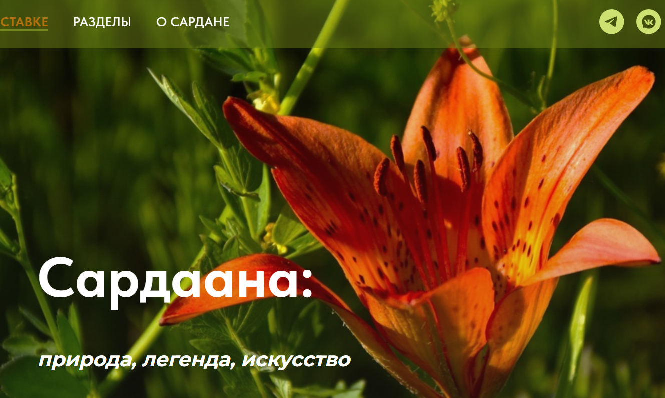 фотоальбом научное лето 2021