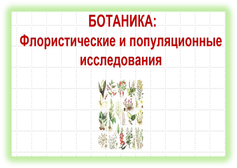 Летние интенсивные курсы